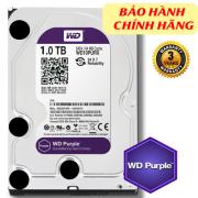 Ổ cứng Western Digital Purple 1TB WD10PURZ