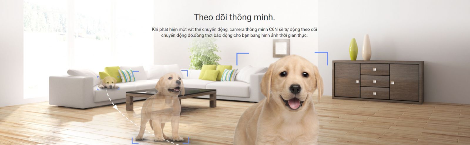 ezviz c6n theo dõi chuyển động