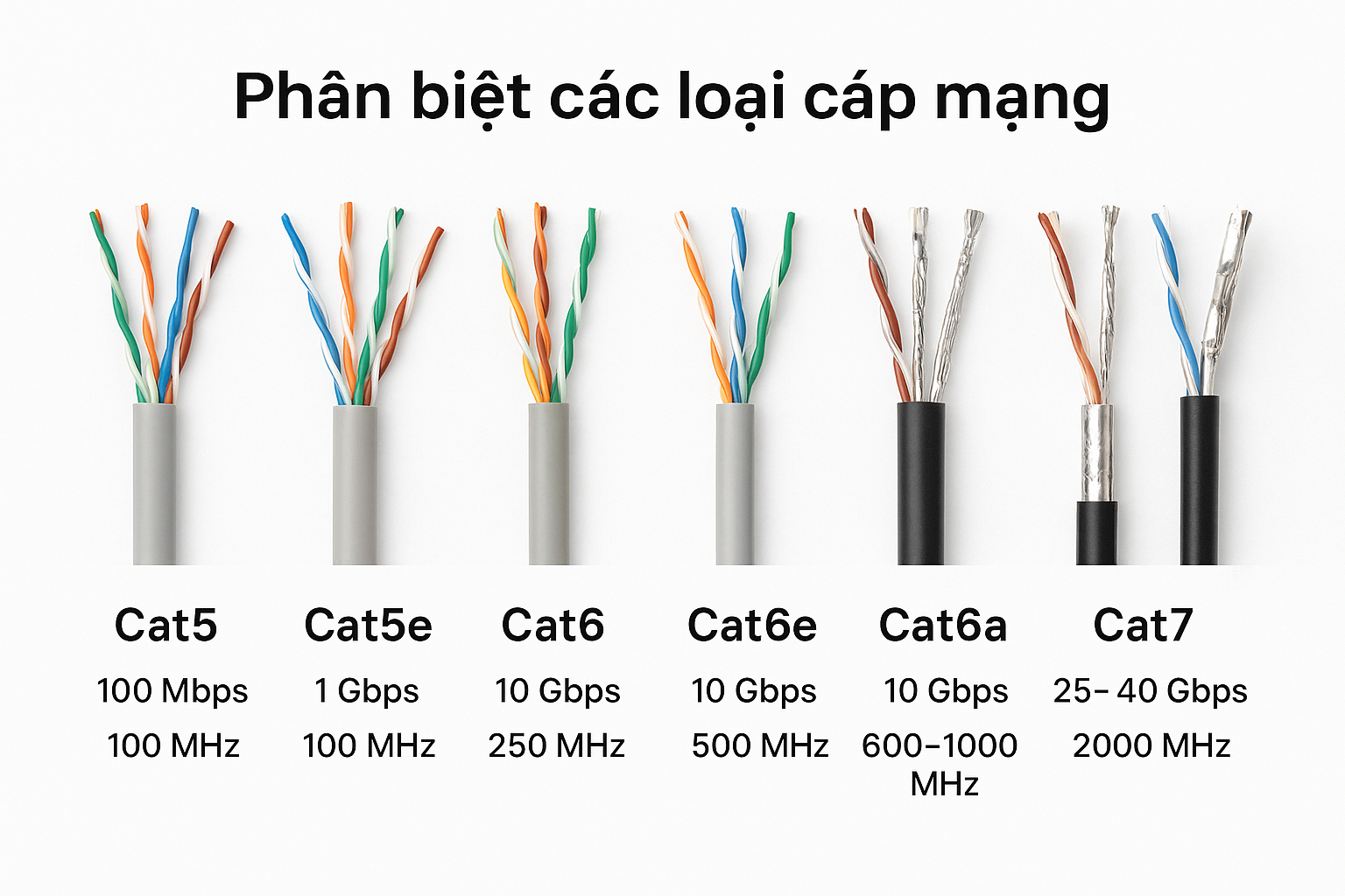 Ảnh ph&acirc;n biệt c&aacute;c loại d&acirc;y c&aacute;p mạng